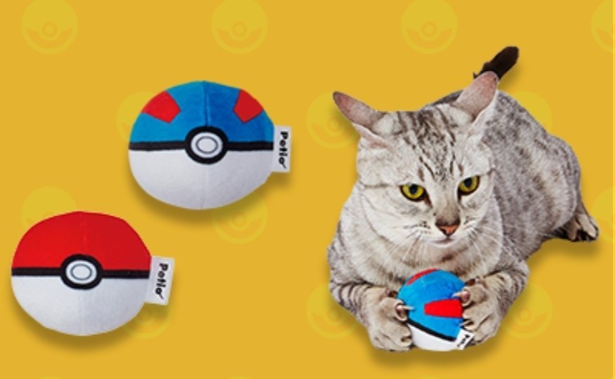 Vesti i tuoi animali all’ultima moda, con i nuovi accessori di Petio a tema Pokémon!
