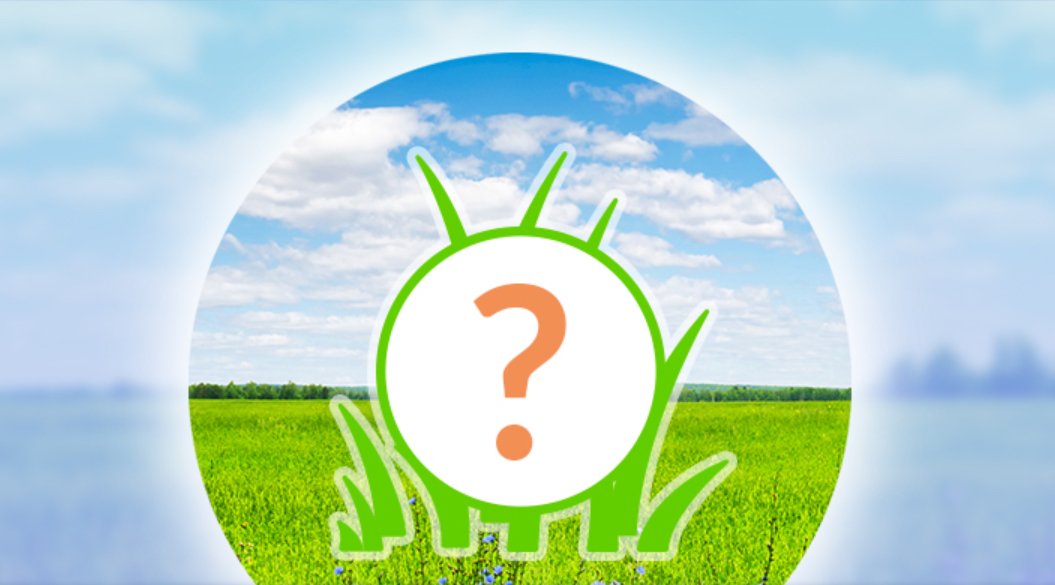 Pokémon GO: Skitty è il Pokémon in primo piano di oggi!