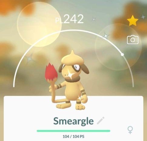 Pokémon GO: Smeargle cromatico debutta durante l’evento dedicato a New Pokémon Snap!