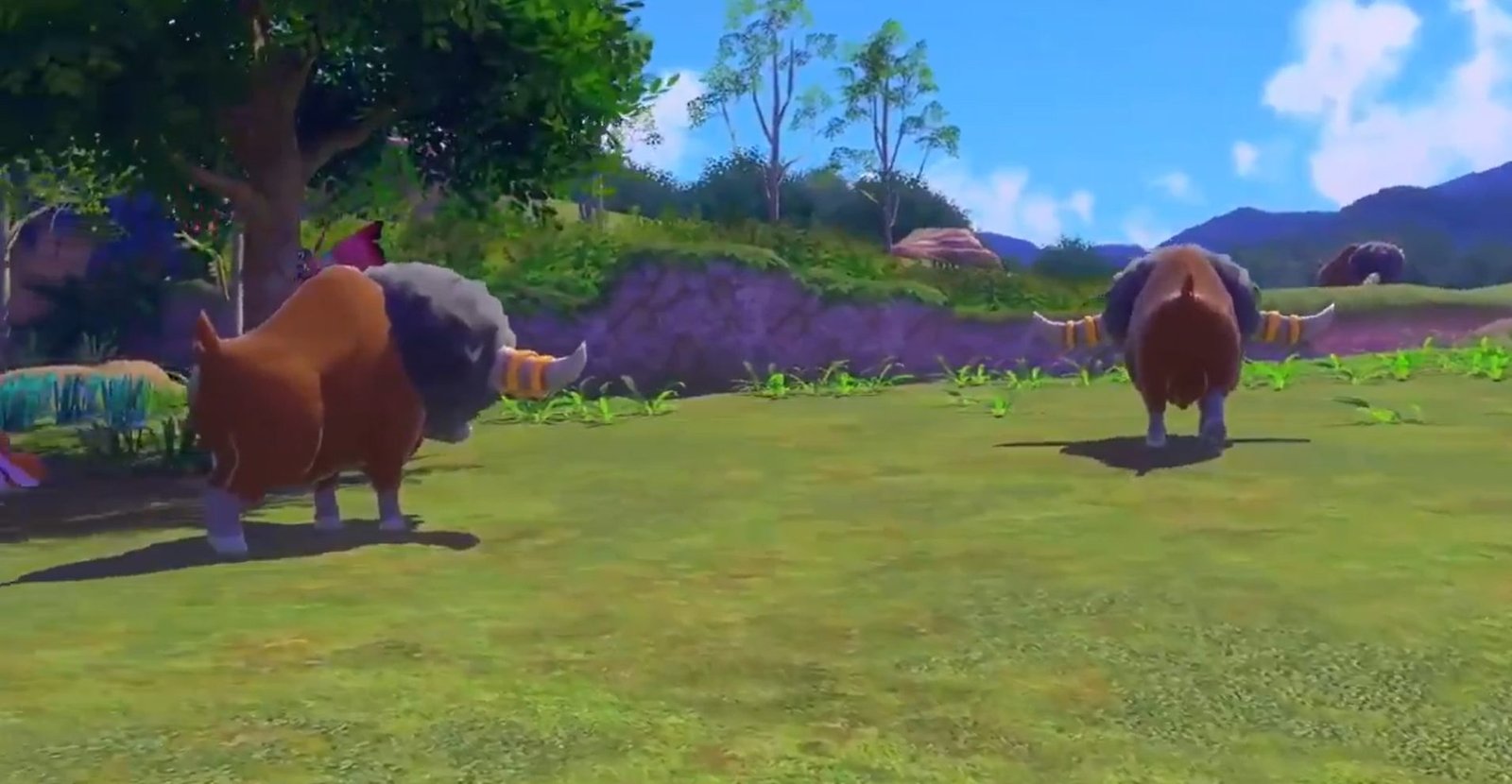 New Pokémon Snap: rilasciato un nuovo video promozionale!