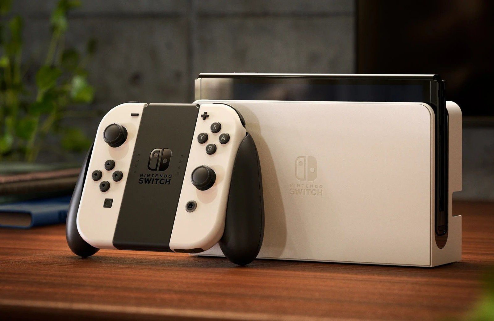 Nintendo Switch: tutti i dettagli dell’aggiornamento 13.2.1